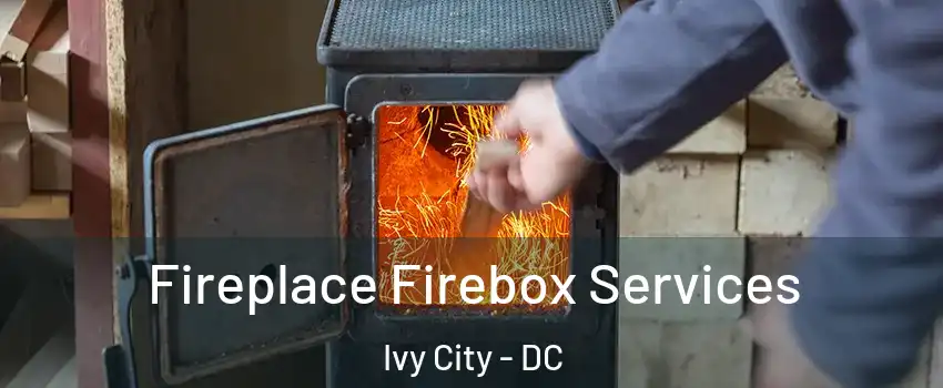 Fireplace Firebox Services Ivy City - DC