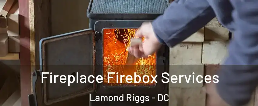 Fireplace Firebox Services Lamond Riggs - DC