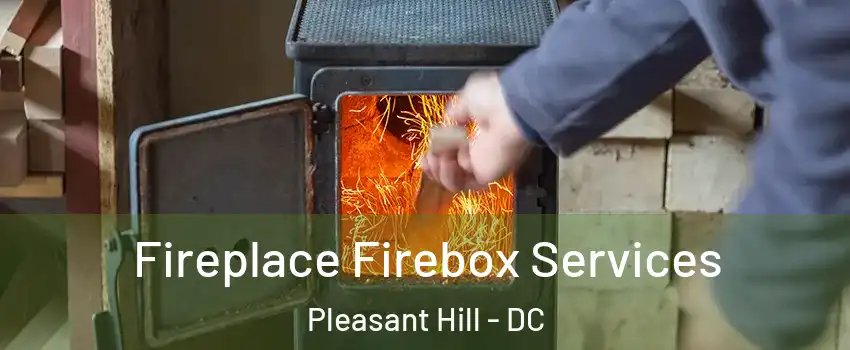 Fireplace Firebox Services Pleasant Hill - DC