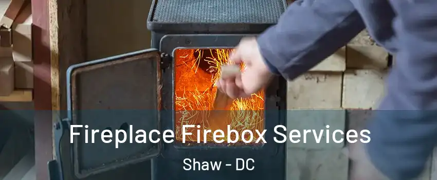 Fireplace Firebox Services Shaw - DC