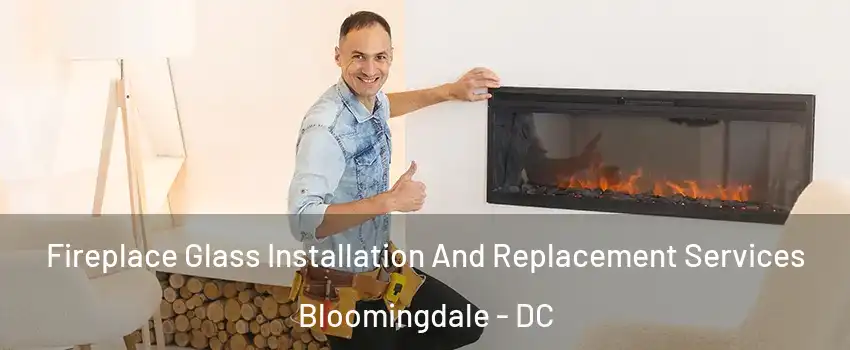 Fireplace Glass Installation And Replacement Services Bloomingdale - DC