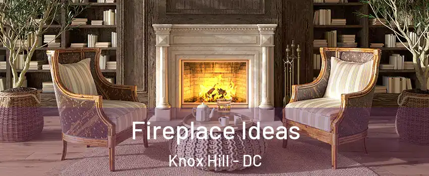 Fireplace Ideas Knox Hill - DC