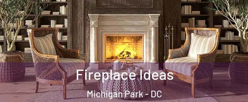 Fireplace Ideas Michigan Park - DC