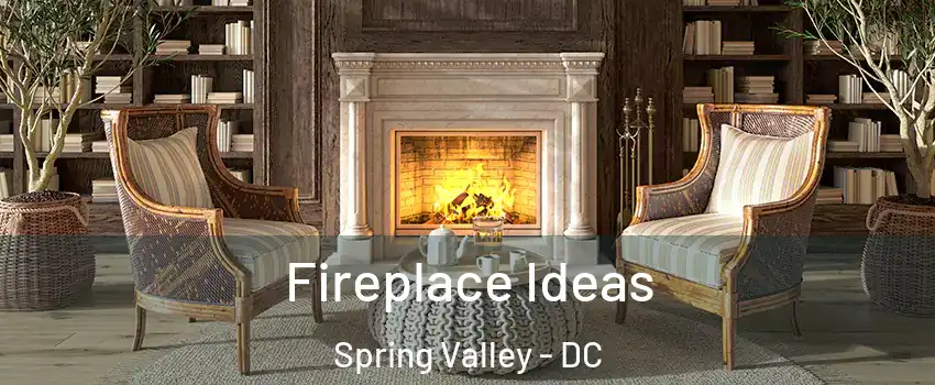 Fireplace Ideas Spring Valley - DC