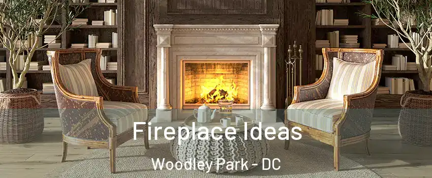 Fireplace Ideas Woodley Park - DC