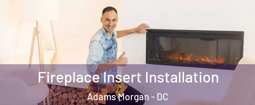 Fireplace Insert Installation Adams Morgan - DC