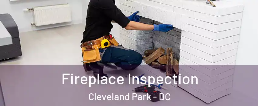 Fireplace Inspection Cleveland Park - DC