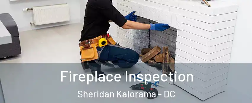 Fireplace Inspection Sheridan Kalorama - DC