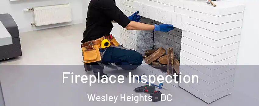 Fireplace Inspection Wesley Heights - DC