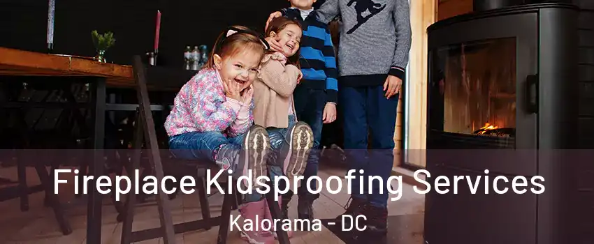 Fireplace Kidsproofing Services Kalorama - DC