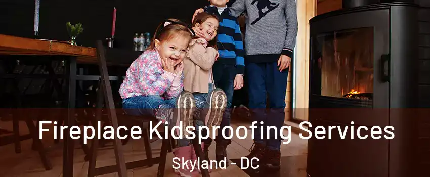 Fireplace Kidsproofing Services Skyland - DC