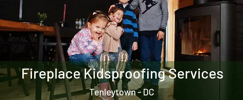Fireplace Kidsproofing Services Tenleytown - DC