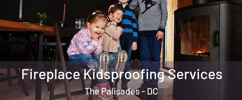 Fireplace Kidsproofing Services The Palisades - DC