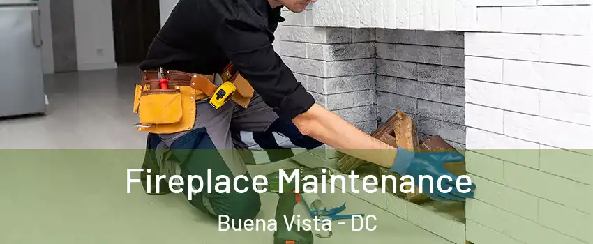 Fireplace Maintenance Buena Vista - DC