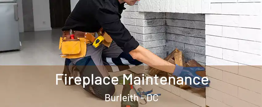 Fireplace Maintenance Burleith - DC