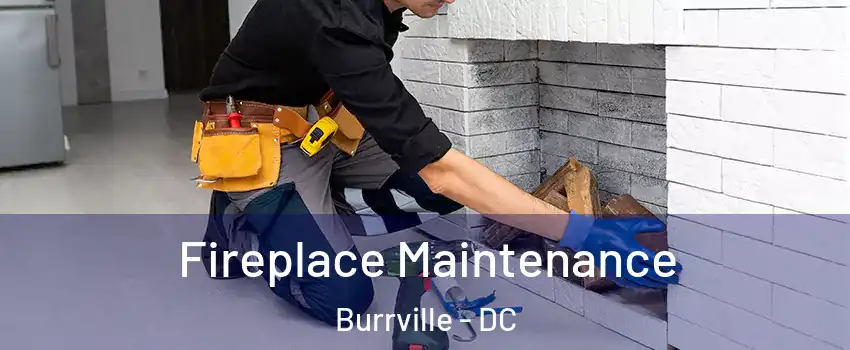 Fireplace Maintenance Burrville - DC
