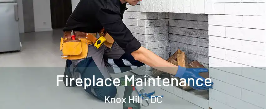 Fireplace Maintenance Knox Hill - DC
