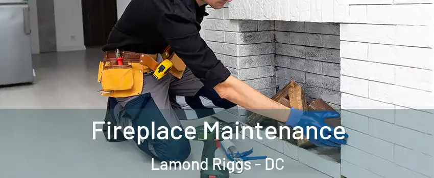 Fireplace Maintenance Lamond Riggs - DC