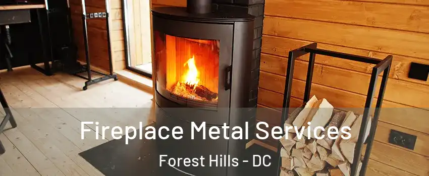 Fireplace Metal Services Forest Hills - DC