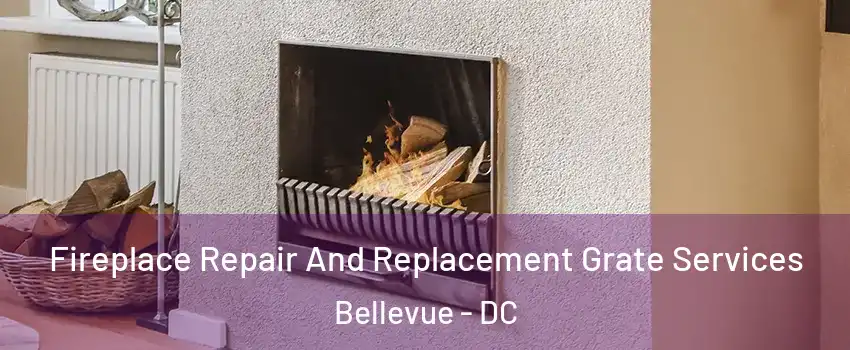 Fireplace Repair And Replacement Grate Services Bellevue - DC