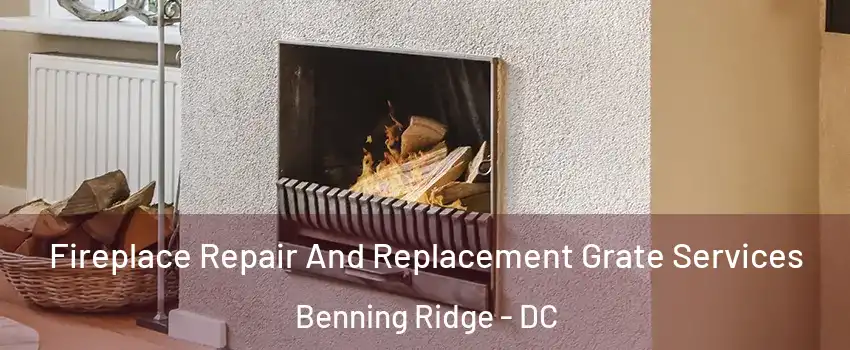 Fireplace Repair And Replacement Grate Services Benning Ridge - DC