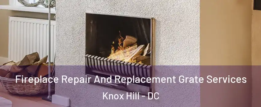 Fireplace Repair And Replacement Grate Services Knox Hill - DC