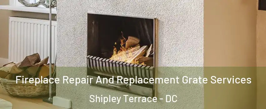Fireplace Repair And Replacement Grate Services Shipley Terrace - DC