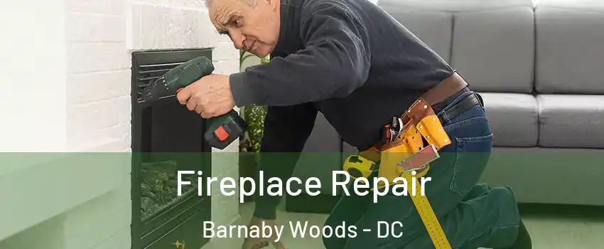 Fireplace Repair Barnaby Woods - DC
