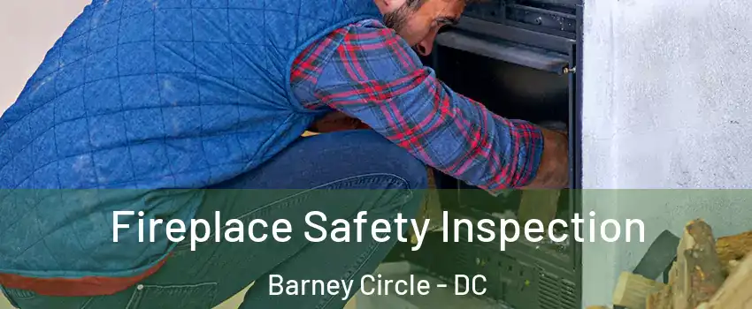 Fireplace Safety Inspection Barney Circle - DC