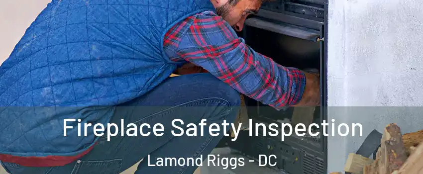 Fireplace Safety Inspection Lamond Riggs - DC