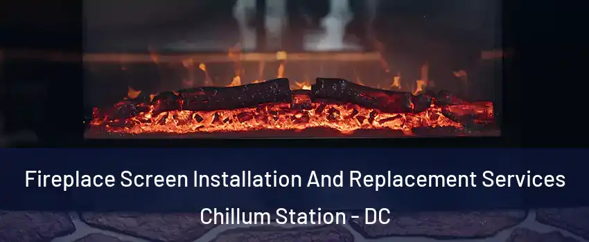 Fireplace Screen Installation And Replacement Services Chillum Station - DC