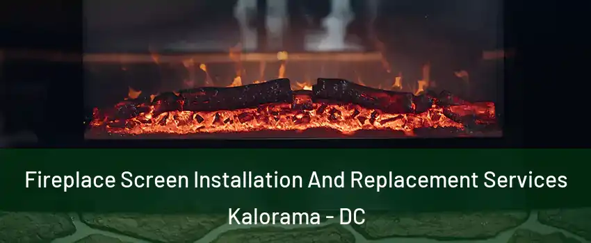 Fireplace Screen Installation And Replacement Services Kalorama - DC