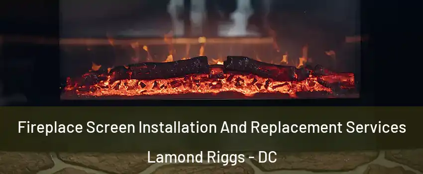 Fireplace Screen Installation And Replacement Services Lamond Riggs - DC