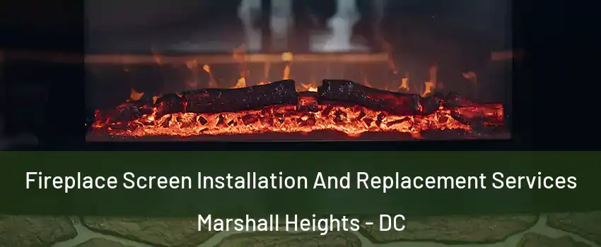 Fireplace Screen Installation And Replacement Services Marshall Heights - DC