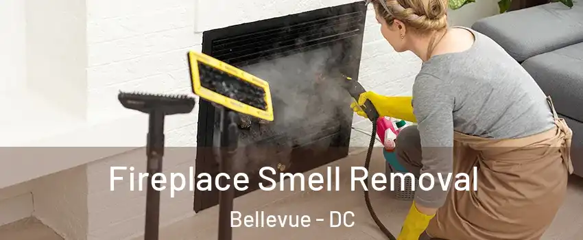 Fireplace Smell Removal Bellevue - DC