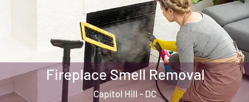 Fireplace Smell Removal Capitol Hill - DC