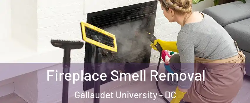 Fireplace Smell Removal Gallaudet University - DC