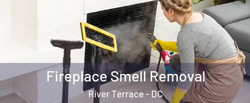 Fireplace Smell Removal River Terrace - DC