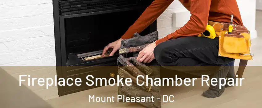 Fireplace Smoke Chamber Repair Mount Pleasant - DC