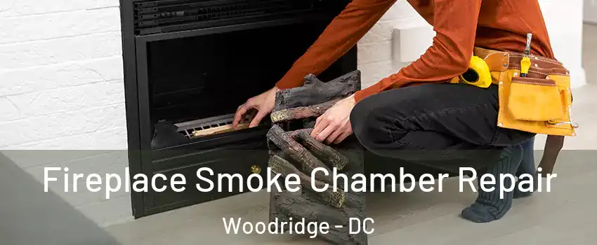 Fireplace Smoke Chamber Repair Woodridge - DC