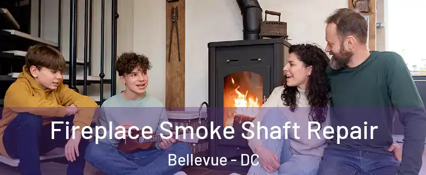 Fireplace Smoke Shaft Repair Bellevue - DC