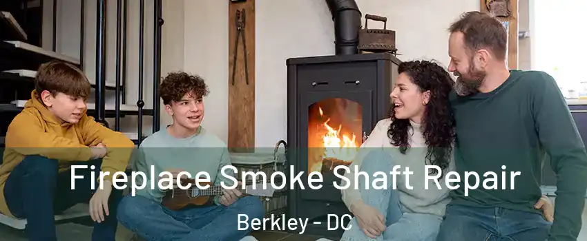 Fireplace Smoke Shaft Repair Berkley - DC