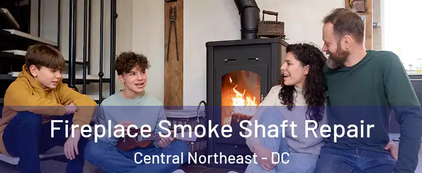 Fireplace Smoke Shaft Repair Central Northeast - DC