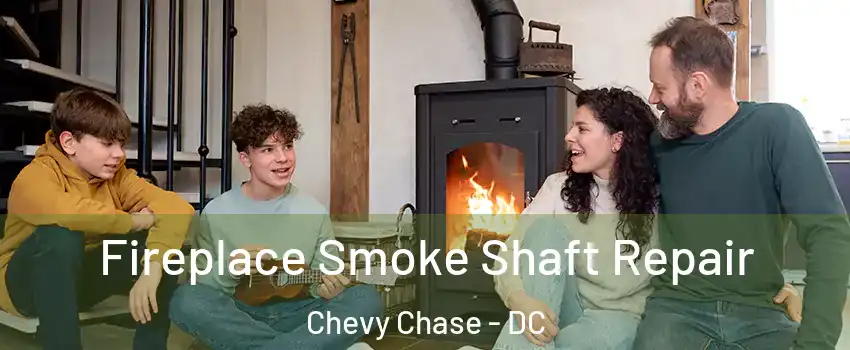 Fireplace Smoke Shaft Repair Chevy Chase - DC