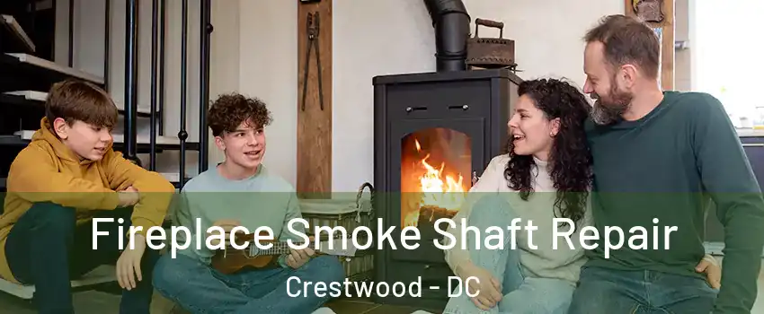 Fireplace Smoke Shaft Repair Crestwood - DC