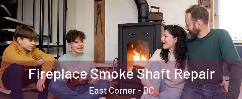Fireplace Smoke Shaft Repair East Corner - DC