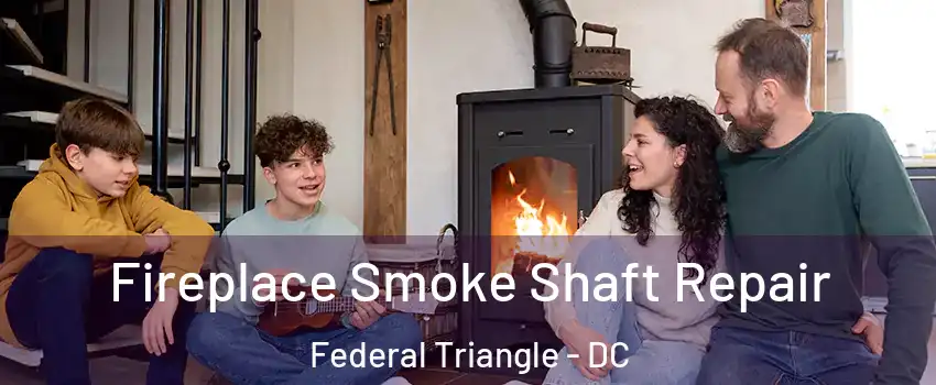 Fireplace Smoke Shaft Repair Federal Triangle - DC