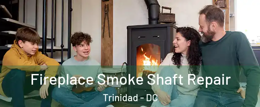 Fireplace Smoke Shaft Repair Trinidad - DC