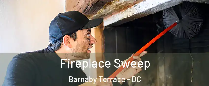 Fireplace Sweep Barnaby Terrace - DC