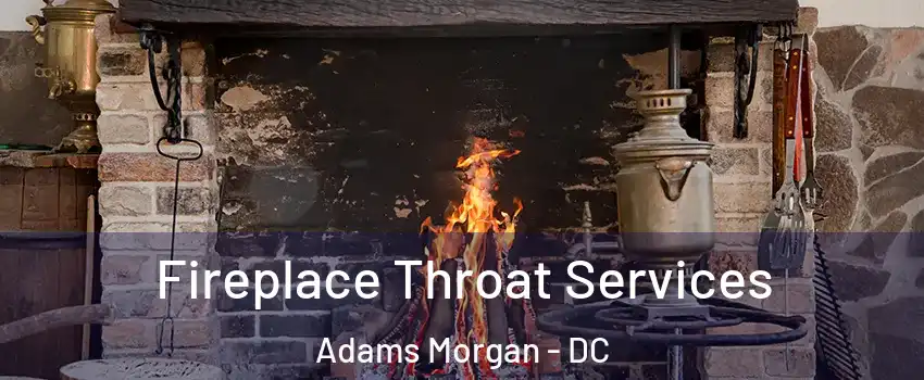 Fireplace Throat Services Adams Morgan - DC